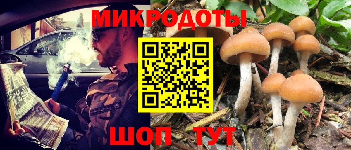 Галлюциногенные грибы Psilocybine cubensis Сунжа