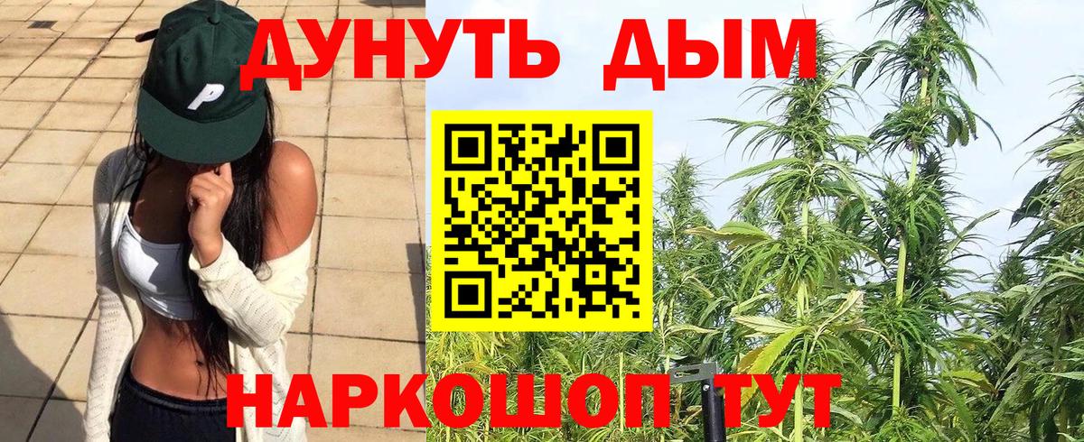 Бошки Шишки сатива Сунжа